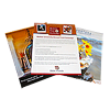digital flyer printing