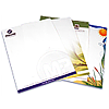 letterhead printing online