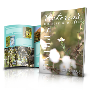 booklet printing online