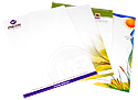 letterhead printing online