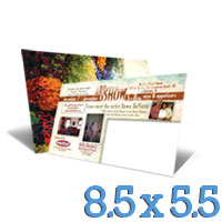 5.5 x 8.5 Postcard