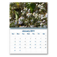 Calendars