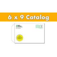6 x 9 Catalog Envelopes