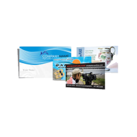 Business Cards UV Coated - HIGH Gloss