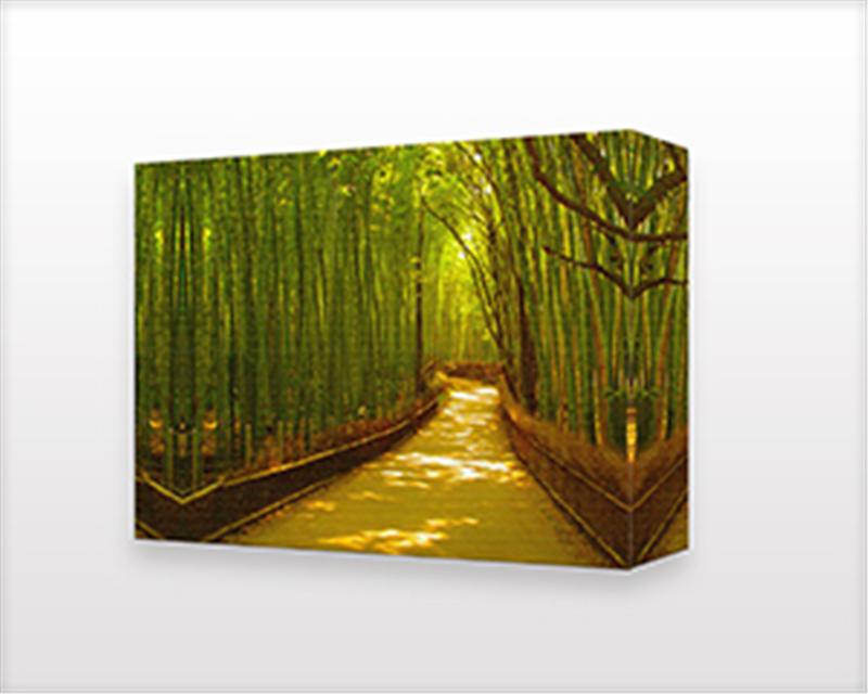 Rolled Canvas Prints